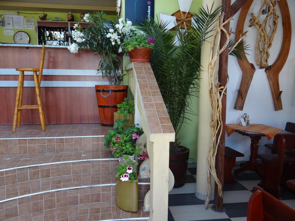Guest House Rosa Kiten  Extérieur photo