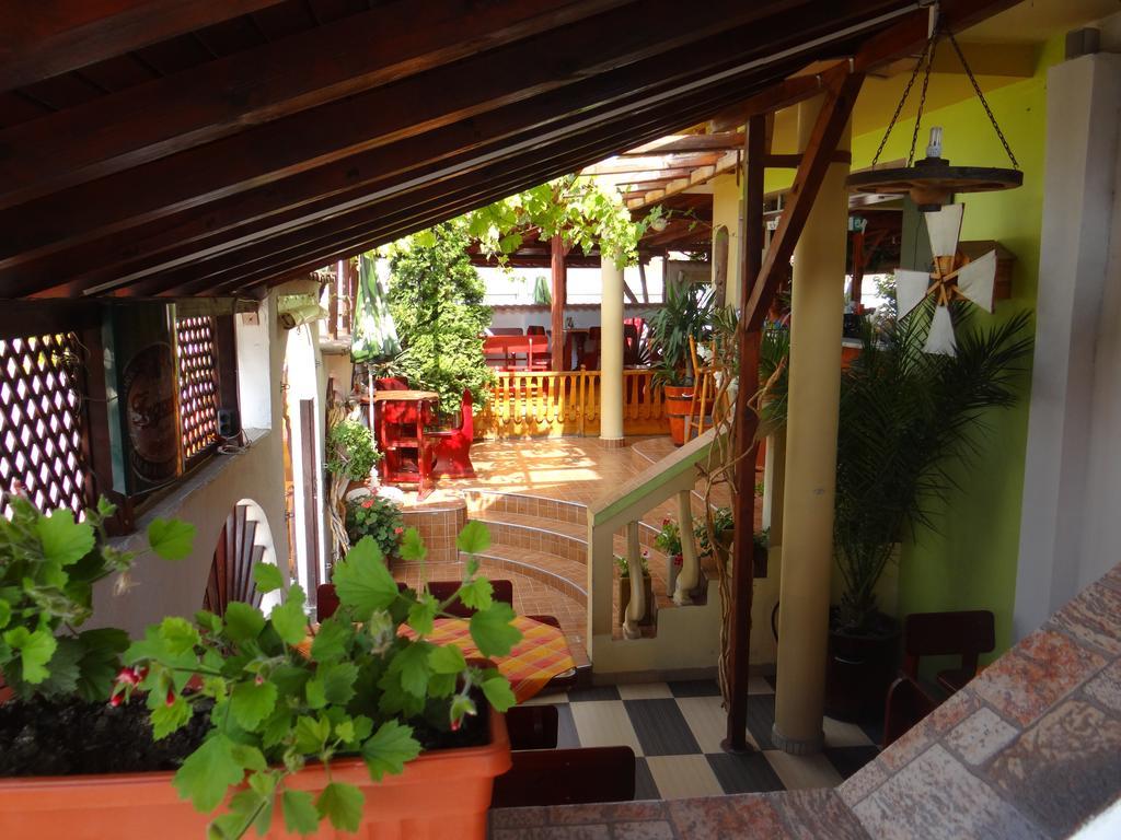 Guest House Rosa Kiten  Extérieur photo